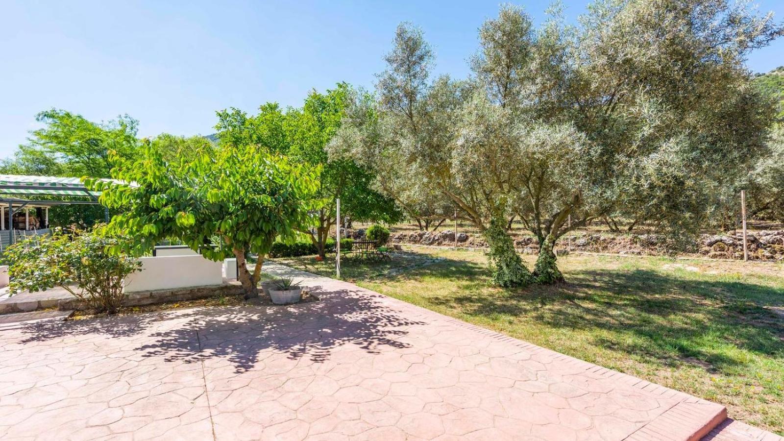 Casa Rural El Ciruelo Loco Alfarnate By Ruralidays Альфарнатехо Экстерьер фото